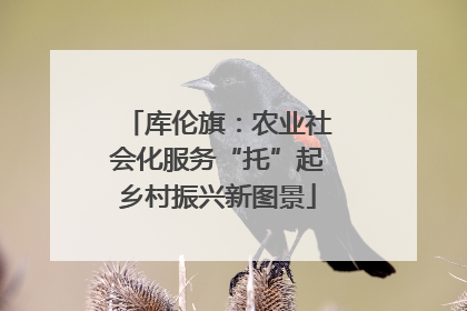 库伦旗：农业社会化服务“托”起乡村振兴新图景