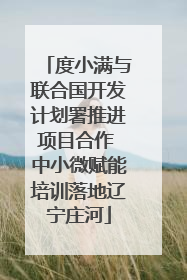 度小满与联合国开发计划署推进项目合作 中小微赋能培训落地辽宁庄河