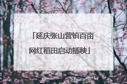 延庆张山营镇百亩网红稻田启动插秧