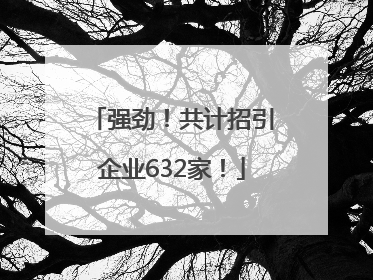 强劲！共计招引企业632家！
