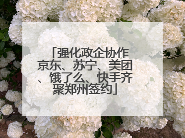 强化政企协作 京东、苏宁、美团、饿了么、快手齐聚郑州签约