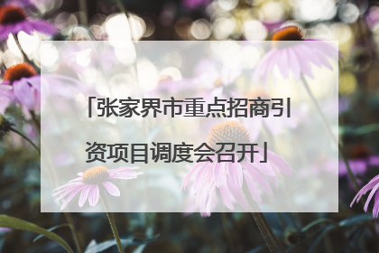 张家界市重点招商引资项目调度会召开