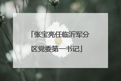 张宝亮任临沂军分区党委第一书记