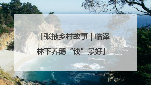 张掖乡村故事｜临泽林下养鹅“钱”景好
