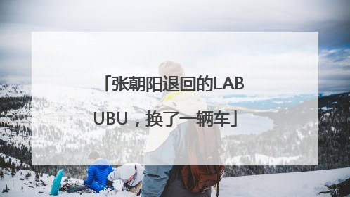张朝阳退回的LABUBU，换了一辆车