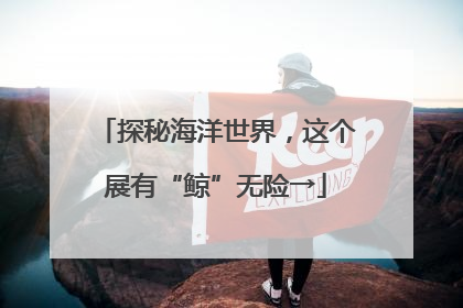 探秘海洋世界，这个展有“鲸”无险→