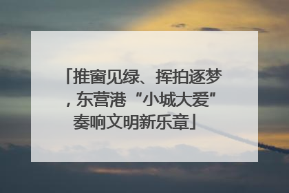 推窗见绿、挥拍逐梦，东营港“小城大爱”奏响文明新乐章