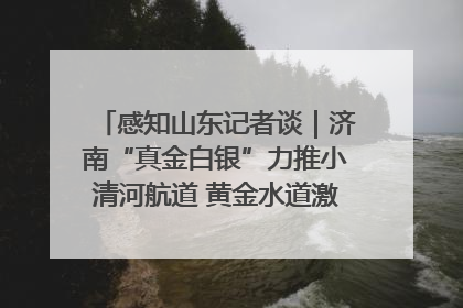 感知山东记者谈｜济南“真金白银”力推小清河航道 黄金水道激活区域经济新动能