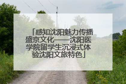 感知沈阳魅力传播盛京文化——沈阳医学院留学生沉浸式体验沈阳文旅特色