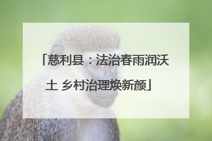 慈利县：法治春雨润沃土 乡村治理焕新颜