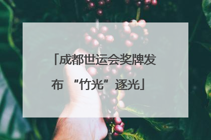 成都世运会奖牌发布 “竹光”逐光
