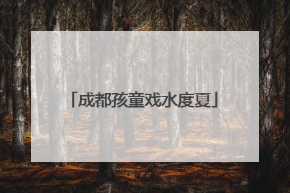 成都孩童戏水度夏