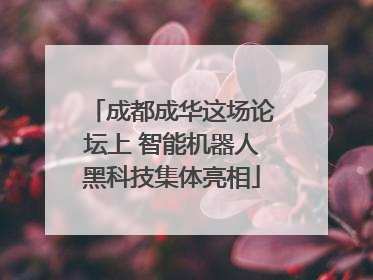 成都成华这场论坛上 智能机器人黑科技集体亮相
