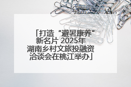 打造“避暑康养”新名片 2025年湖南乡村文旅投融资洽谈会在桃江举办