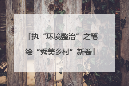 执“环境整治”之笔 绘“秀美乡村”新卷