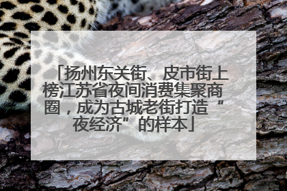 扬州东关街、皮市街上榜江苏省夜间消费集聚商圈，成为古城老街打造“夜经济”的样本