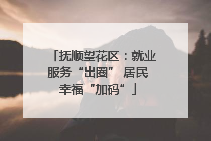 抚顺望花区：就业服务“出圈” 居民幸福“加码”
