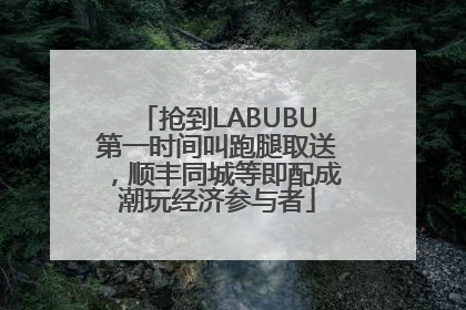 抢到LABUBU第一时间叫跑腿取送，顺丰同城等即配成潮玩经济参与者