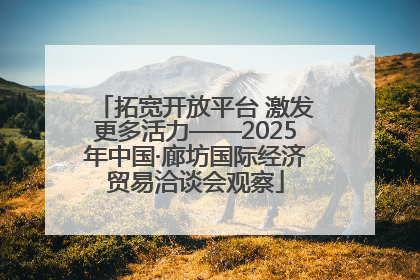 拓宽开放平台 激发更多活力——2025年中国·廊坊国际经济贸易洽谈会观察
