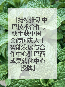 持续推动中巴技术合作，快手获中国-金砖国家人工智能发展与合作中心驻巴西成果转化中心授牌