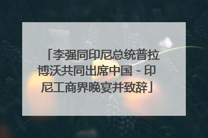 李强同印尼总统普拉博沃共同出席中国－印尼工商界晚宴并致辞