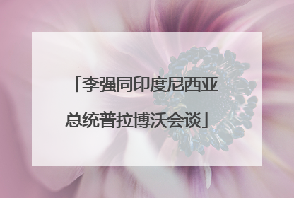 李强同印度尼西亚总统普拉博沃会谈