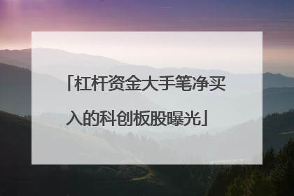 杠杆资金大手笔净买入的科创板股曝光
