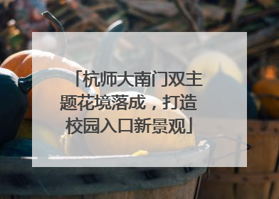 杭师大南门双主题花境落成，打造校园入口新景观