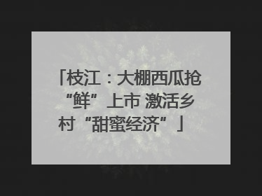 枝江：大棚西瓜抢“鲜”上市 激活乡村“甜蜜经济”