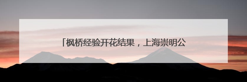 枫桥经验开花结果，上海崇明公安城桥派出所依托刑事案件“负面清单”强化派出所“主防”