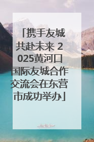 携手友城 共赴未来 2025黄河口国际友城合作交流会在东营市成功举办