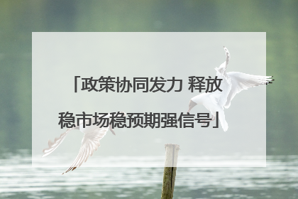 政策协同发力 释放稳市场稳预期强信号