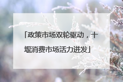 政策市场双轮驱动，十堰消费市场活力迸发