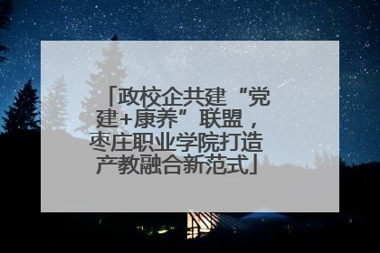 政校企共建“党建+康养”联盟，枣庄职业学院打造产教融合新范式