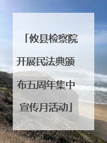 攸县检察院开展民法典颁布五周年集中宣传月活动