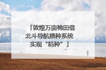 敦煌万亩棉田借北斗导航播种系统实现“精种”
