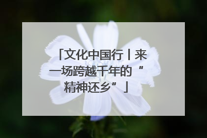 文化中国行丨来一场跨越千年的“精神还乡”