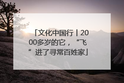 文化中国行丨2000多岁的它，“飞”进了寻常百姓家