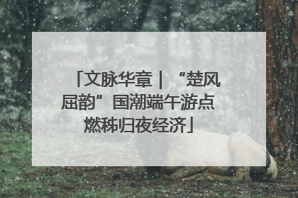 文脉华章｜“楚风屈韵”国潮端午游点燃秭归夜经济