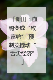 新田：血鸭变成“致富鸭” 预制菜撬动“舌尖经济”