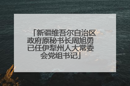 新疆维吾尔自治区政府原秘书长周旭勇已任伊犁州人大常委会党组书记