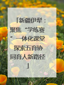 新疆伊犁：聚焦“学练赛”一体化课堂 探索五育协同育人新路径
