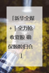 新华全媒+｜全力抢收夏粮 确保颗粒归仓