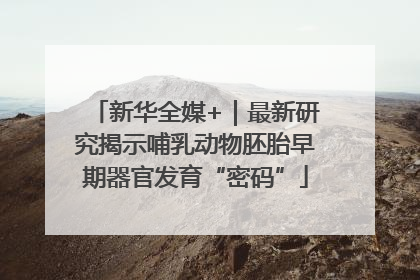 新华全媒+｜最新研究揭示哺乳动物胚胎早期器官发育“密码”
