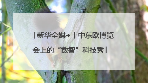 新华全媒+丨中东欧博览会上的“数智”科技秀