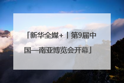 新华全媒+丨第9届中国—南亚博览会开幕