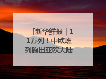 新华鲜报｜11万列！中欧班列跑出亚欧大陆“新时速”