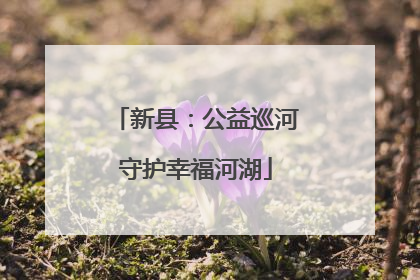 新县：公益巡河守护幸福河湖