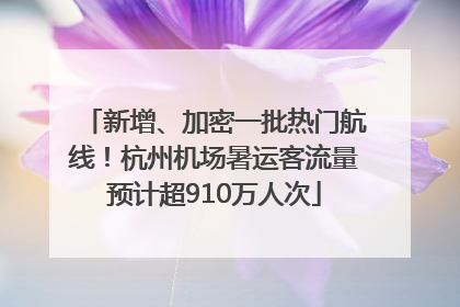 新增、加密一批热门航线！杭州机场暑运客流量预计超910万人次
