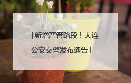 新增严管路段！大连公安交警发布通告